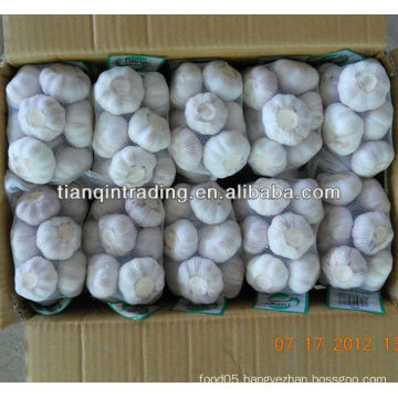 2012 garlic best price